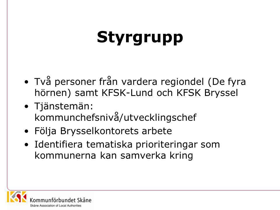 Styrgrupp Två personer från vardera regiondel (De fyra hörnen) samt KFSK-Lund och KFSK Bryssel. Tjänstemän: kommunchefsnivå/utvecklingschef.
