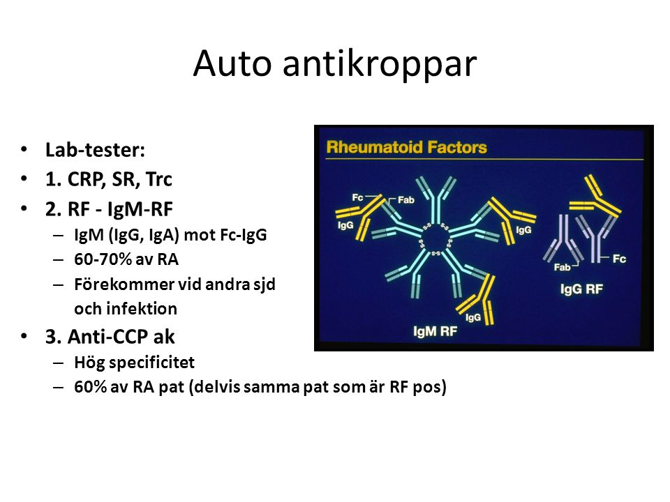 Auto antikroppar Lab-tester: 1. CRP, SR, Trc 2. RF - IgM-RF