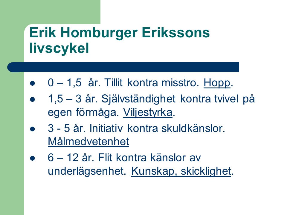 Erik Homburger Erikssons livscykel