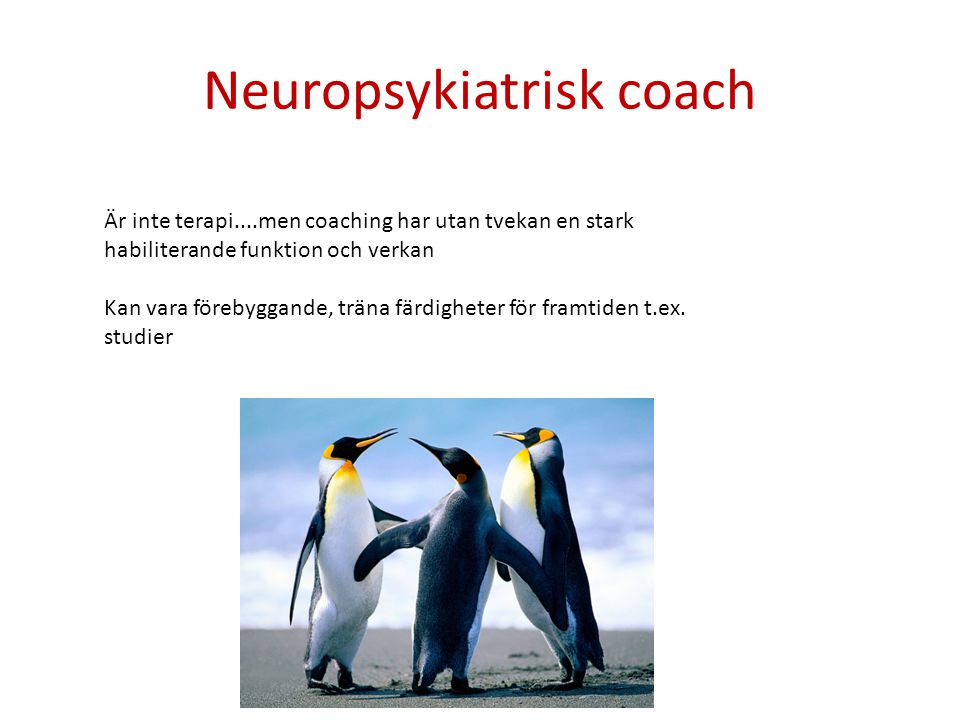 Neuropsykiatrisk coach