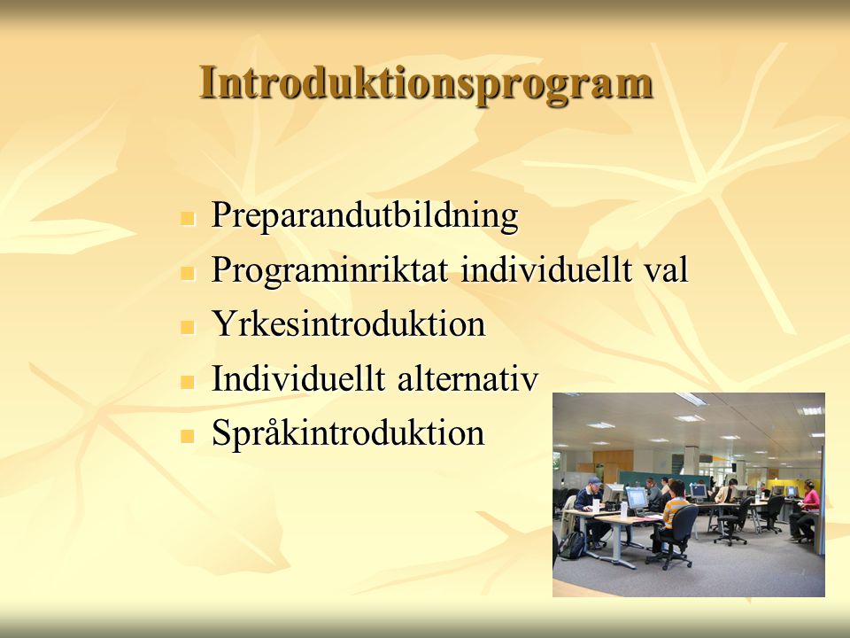Introduktionsprogram