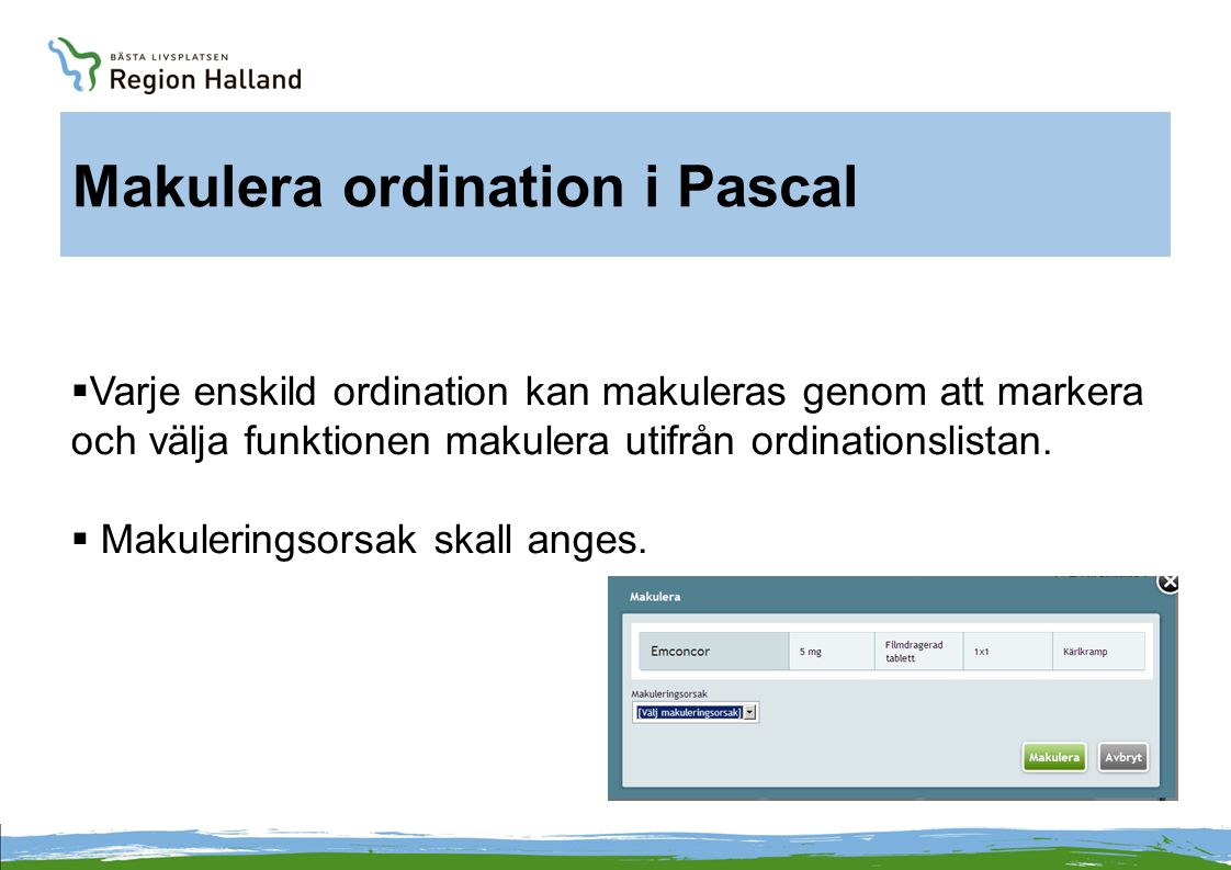 Makulera ordination i Pascal