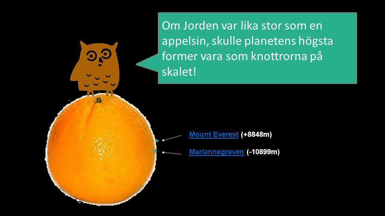 Om Jorden var lika stor som en appelsin, skulle planetens högsta former vara som knottrorna på skalet!