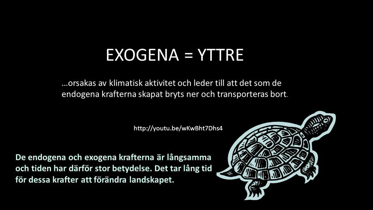 EXOGENA = YTTRE …orsakas av klimatisk aktivitet och leder till att det som de endogena krafterna skapat bryts ner och transporteras bort.
