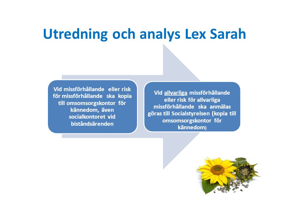 Utredning och analys Lex Sarah