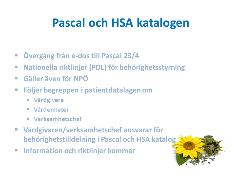 Pascal och HSA katalogen