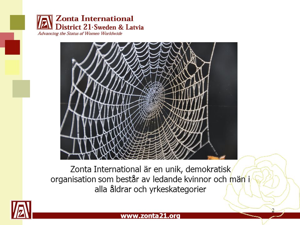 Zonta International är en unik, demokratisk organisation som består av ledande kvinnor och män i alla åldrar och yrkeskategorier