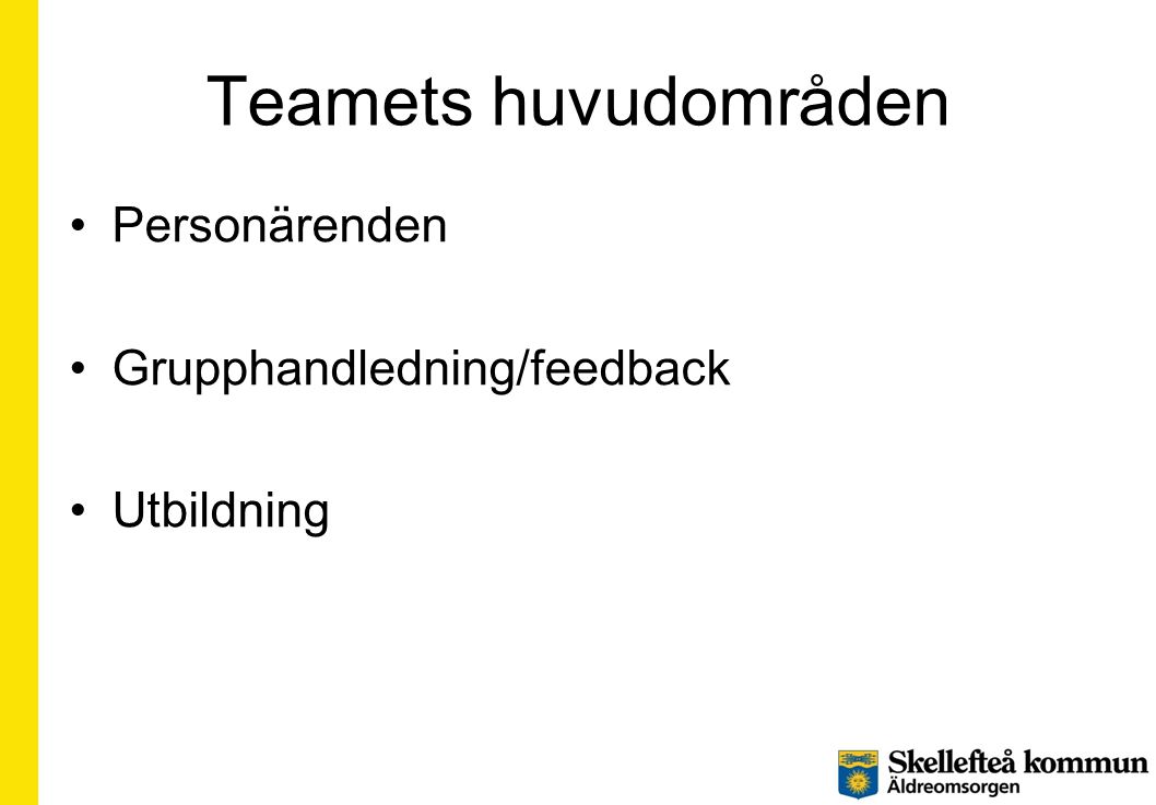 Teamets huvudområden Personärenden Grupphandledning/feedback