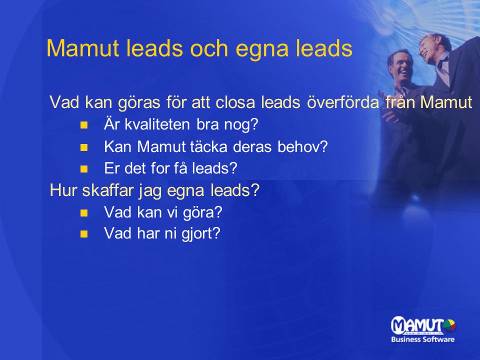 Mamut leads och egna leads