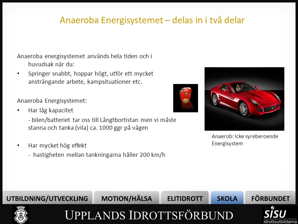 Anaeroba Energisystemet – delas in i två delar
