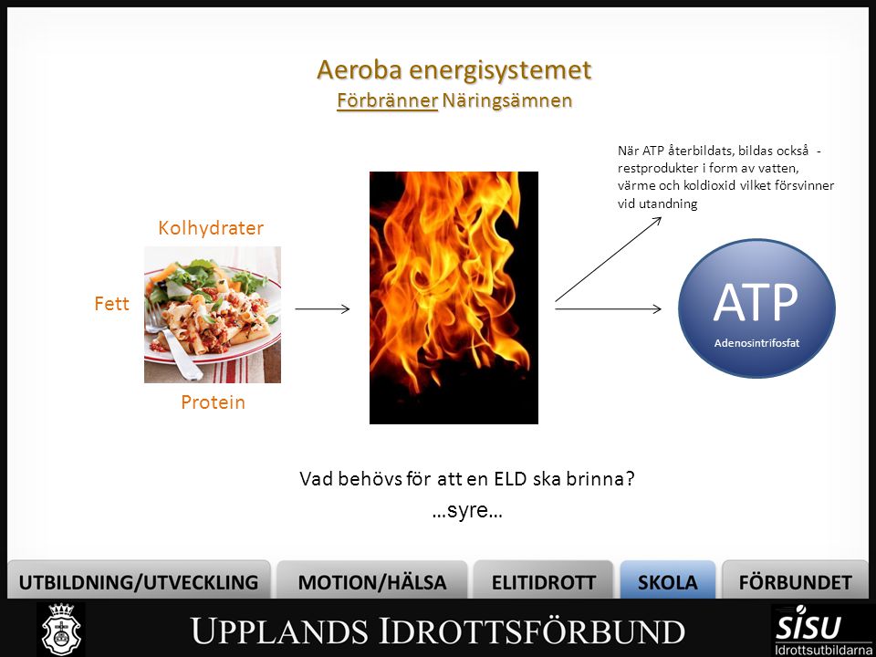 Aeroba energisystemet Förbränner Näringsämnen