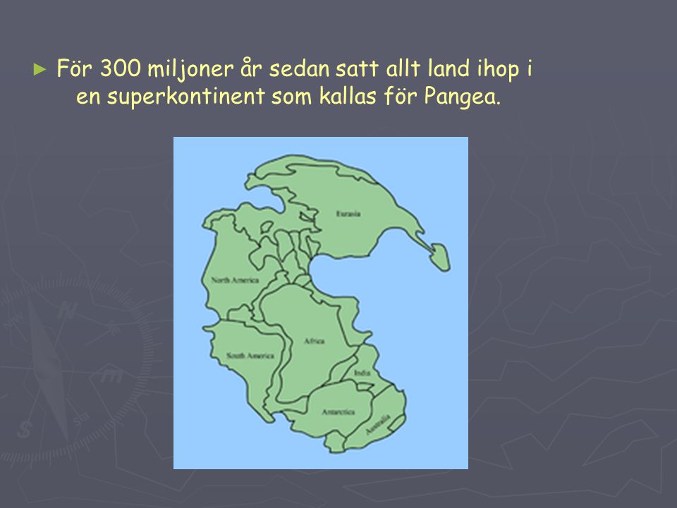 För 300 miljoner år sedan satt allt land ihop i en superkontinent som kallas för Pangea.
