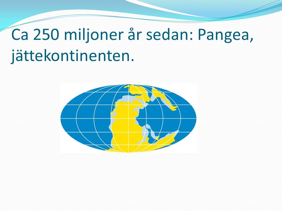 Ca 250 miljoner år sedan: Pangea, jättekontinenten.