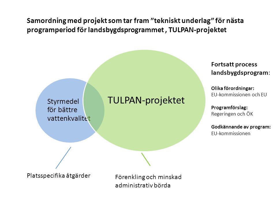 Samordning med projekt som tar fram tekniskt underlag för nästa programperiod för landsbygdsprogrammet , TULPAN-projektet