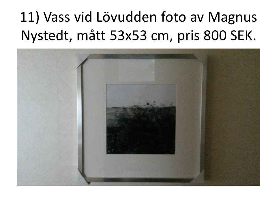 11) Vass vid Lövudden foto av Magnus Nystedt, mått 53x53 cm, pris 800 SEK.
