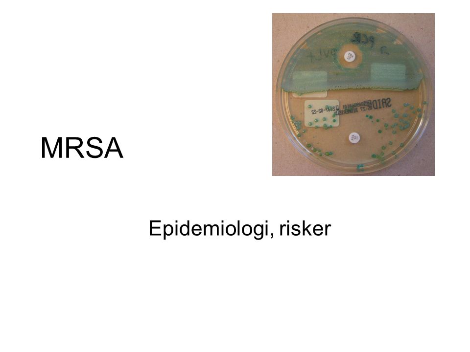 MRSA Epidemiologi, risker