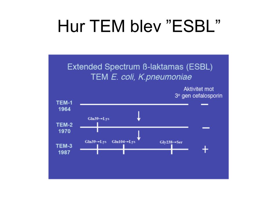 Hur TEM blev ESBL