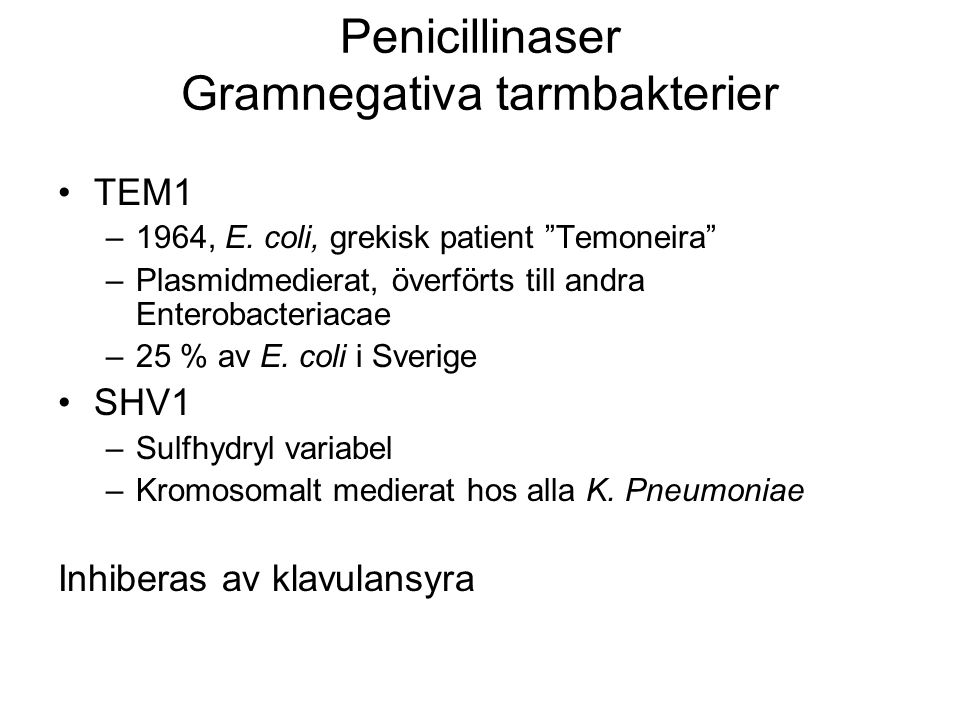 Penicillinaser Gramnegativa tarmbakterier