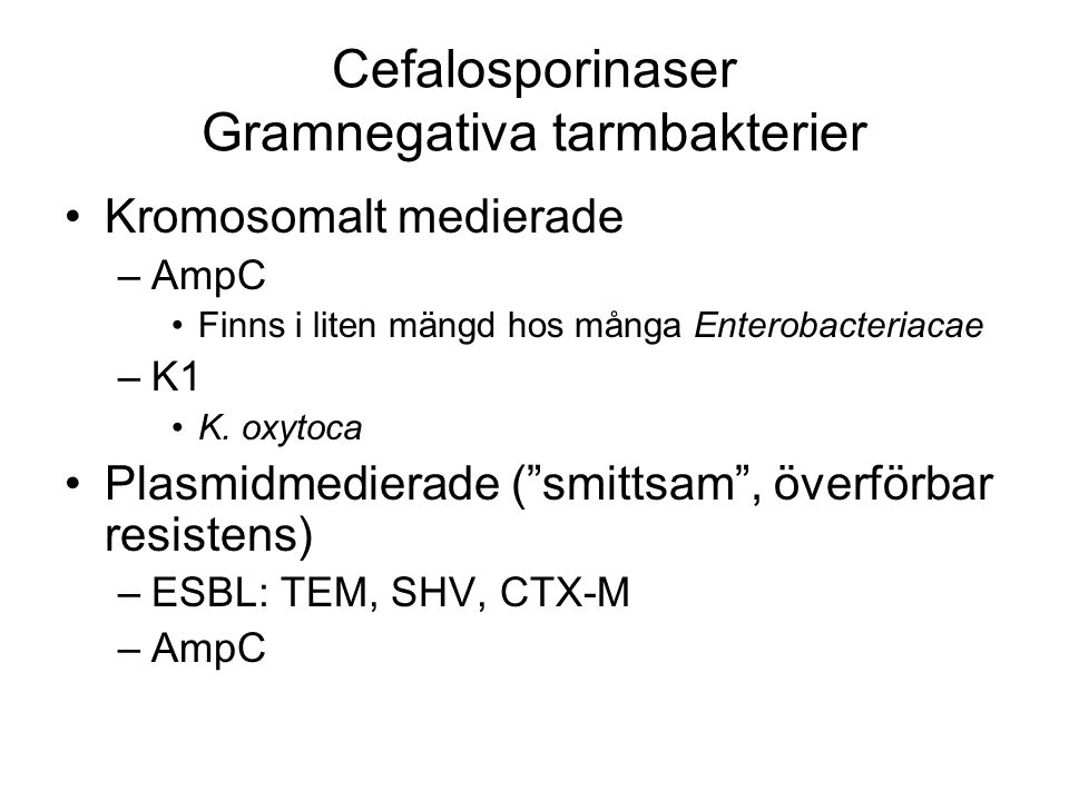 Cefalosporinaser Gramnegativa tarmbakterier