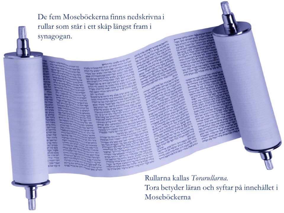 De fem Moseböckerna finns nedskrivna i rullar som står i ett skåp längst fram i synagogan.