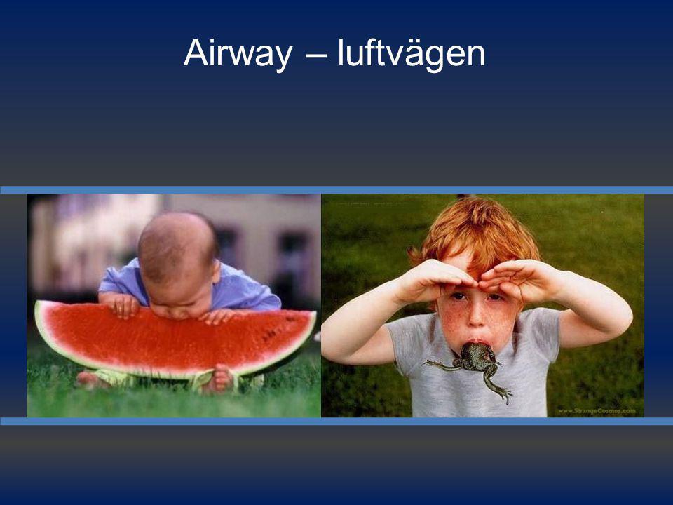 Airway – luftvägen
