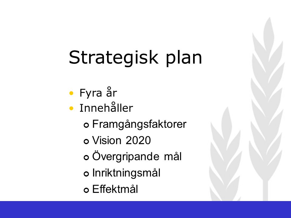Strategisk plan Framgångsfaktorer Vision 2020 Övergripande mål