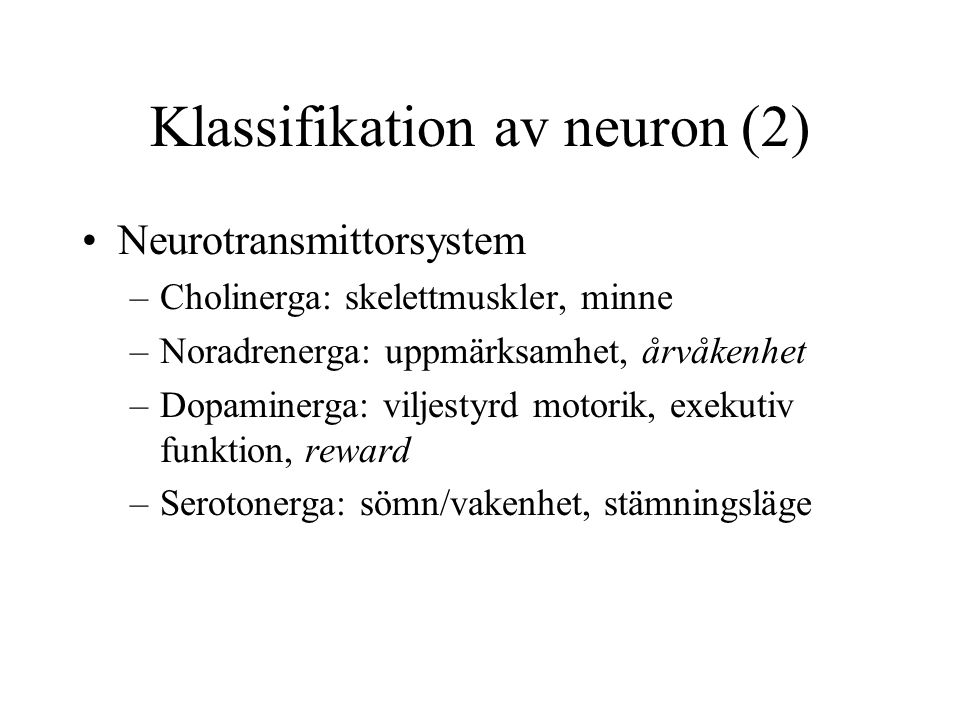 Klassifikation av neuron (2)