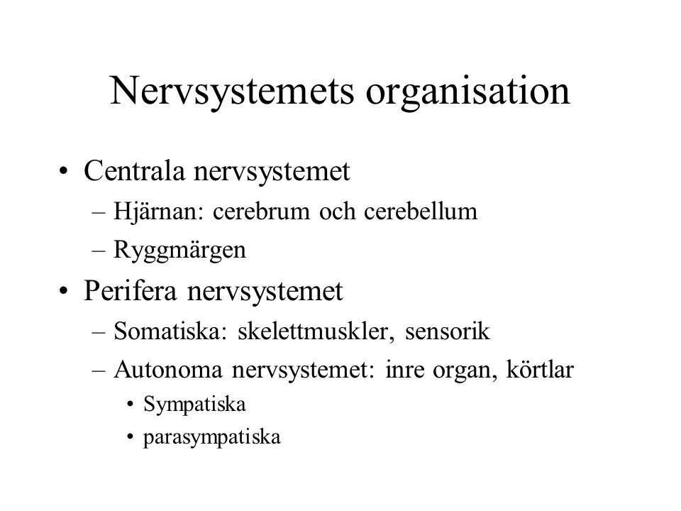 Nervsystemets organisation