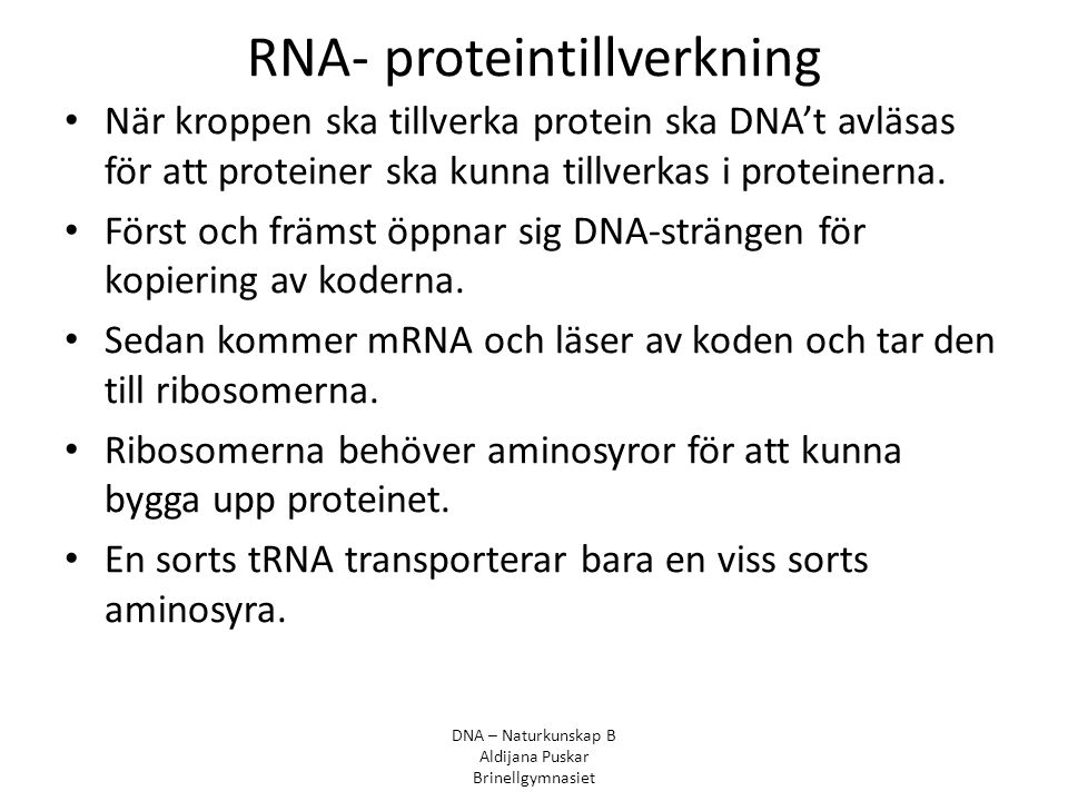 RNA- proteintillverkning