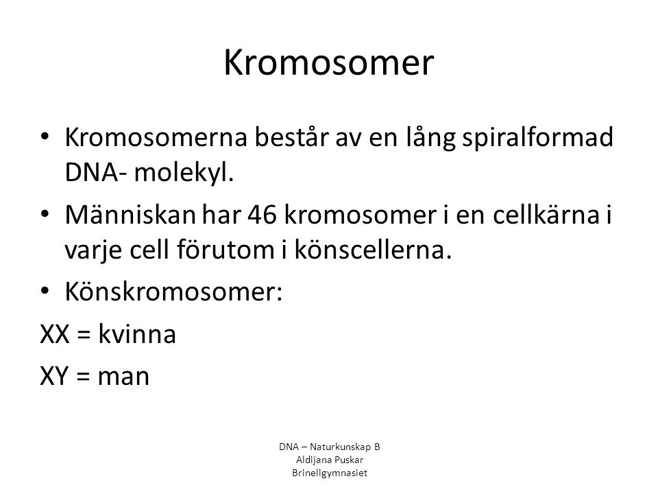 Kromosomer Kromosomerna består av en lång spiralformad DNA- molekyl.