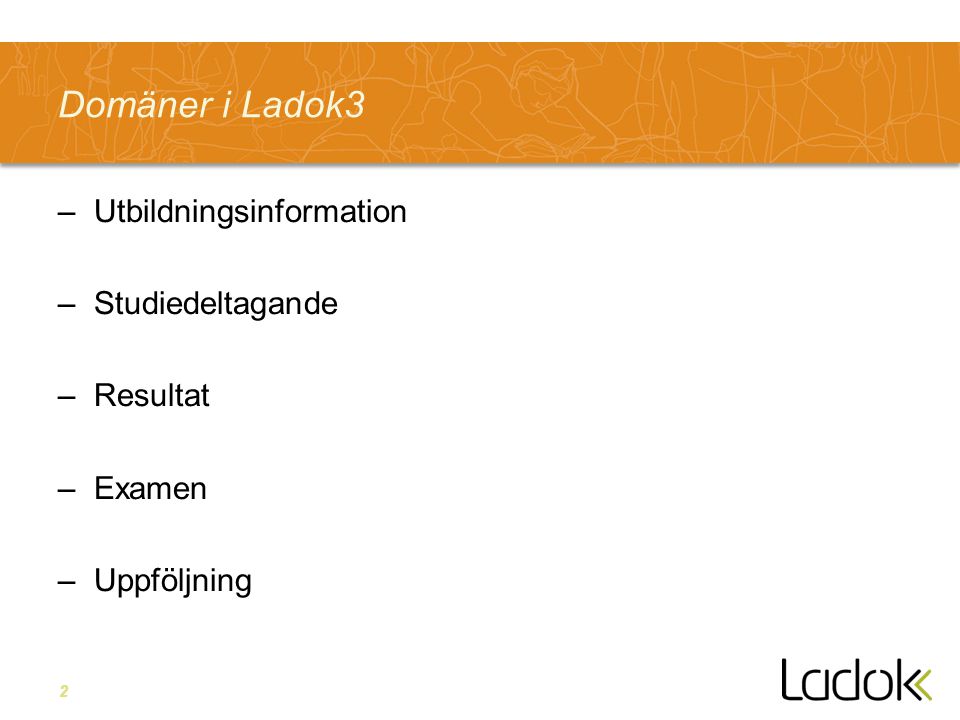 Domäner i Ladok3 Utbildningsinformation Studiedeltagande Resultat