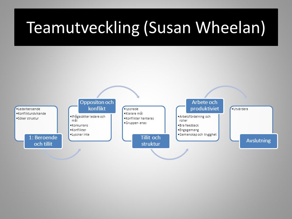 Teamutveckling (Susan Wheelan)
