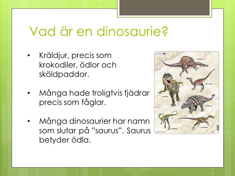 Vad är en dinosaurie Kräldjur, precis som krokodiler, ödlor och sköldpaddor. Många hade troligtvis fjädrar precis som fåglar.