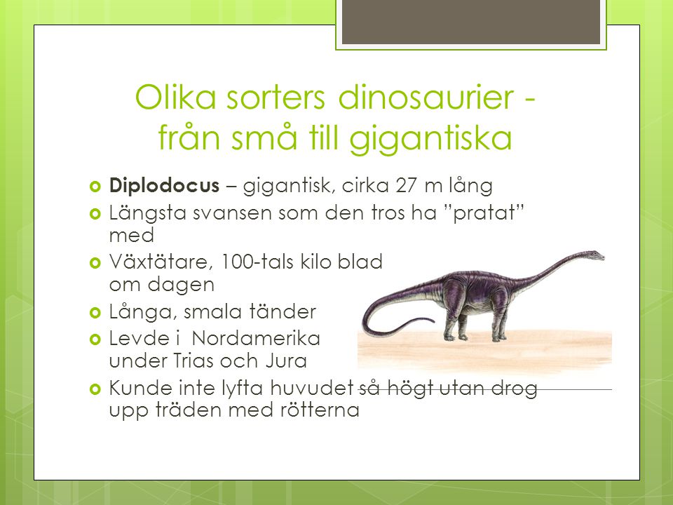 Olika sorters dinosaurier - från små till gigantiska