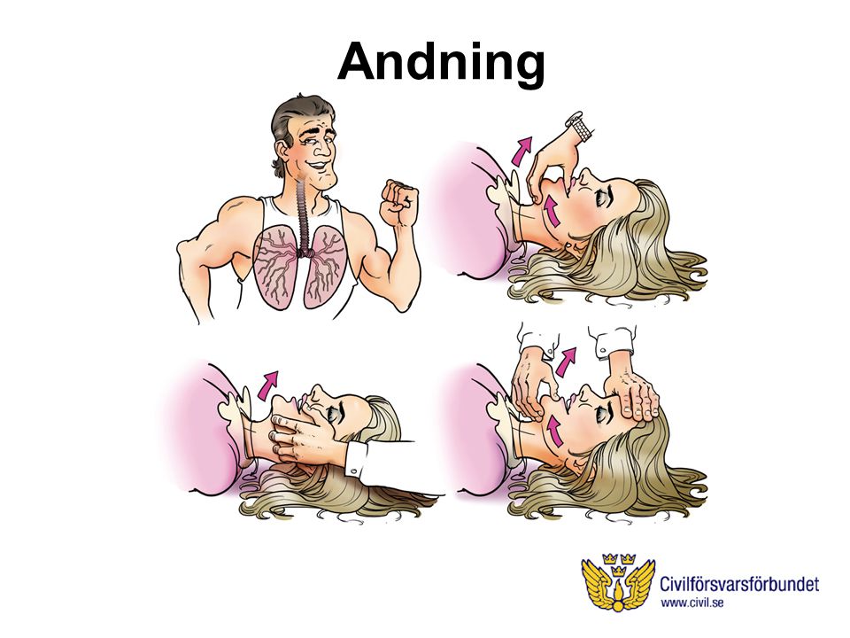 Andning