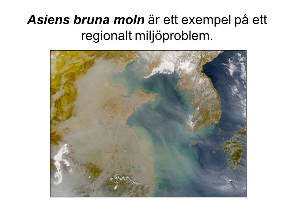 Asiens bruna moln är ett exempel på ett regionalt miljöproblem.
