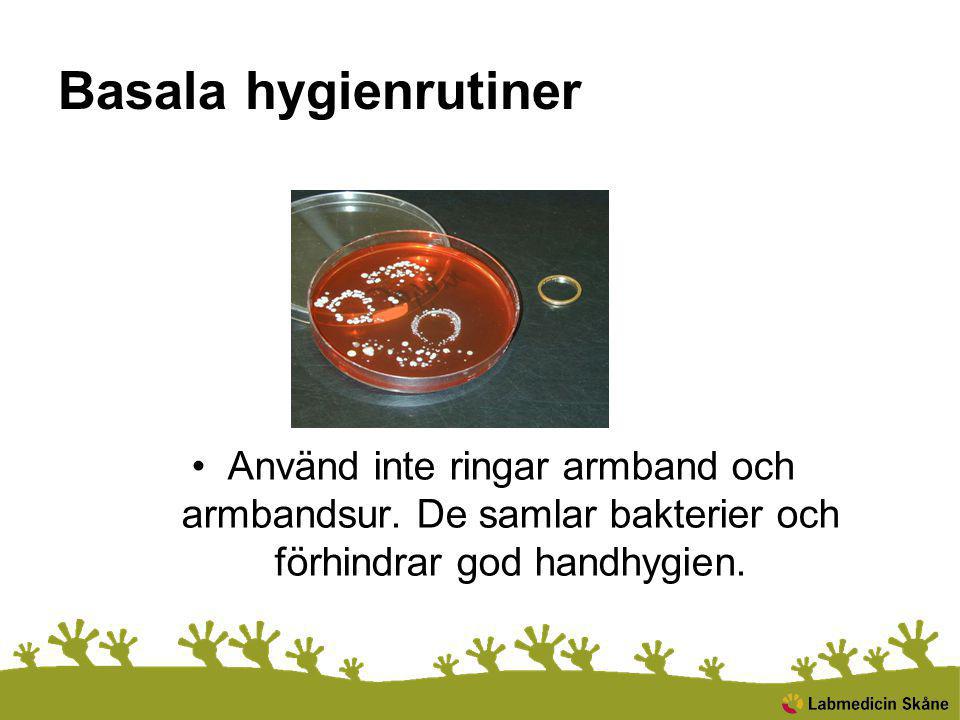 Basala hygienrutiner Använd inte ringar armband och armbandsur.