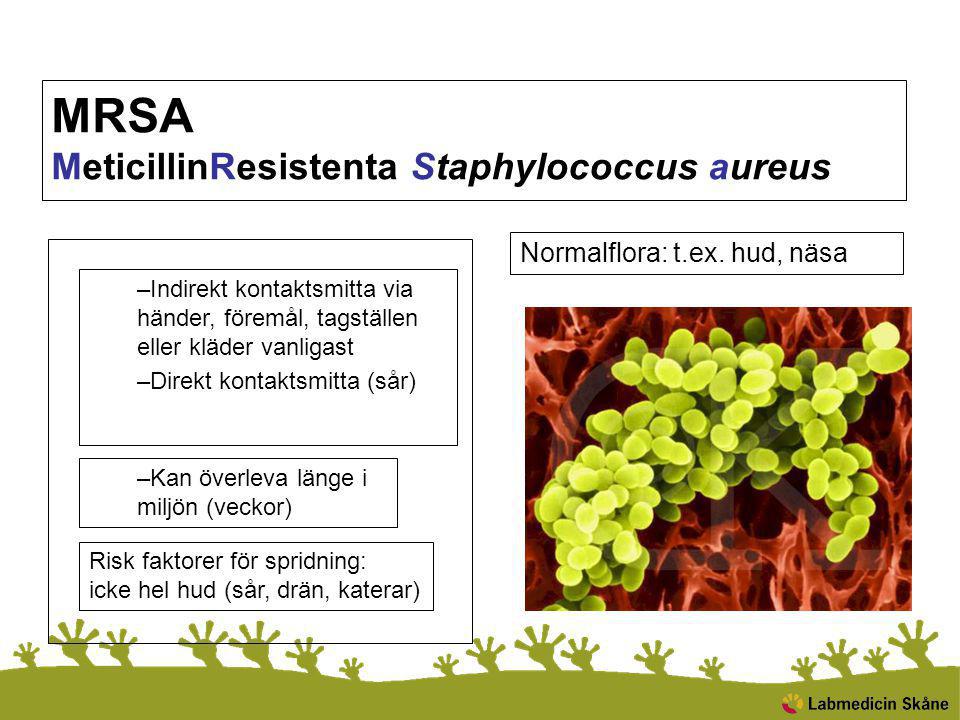 MRSA MeticillinResistenta Staphylococcus aureus