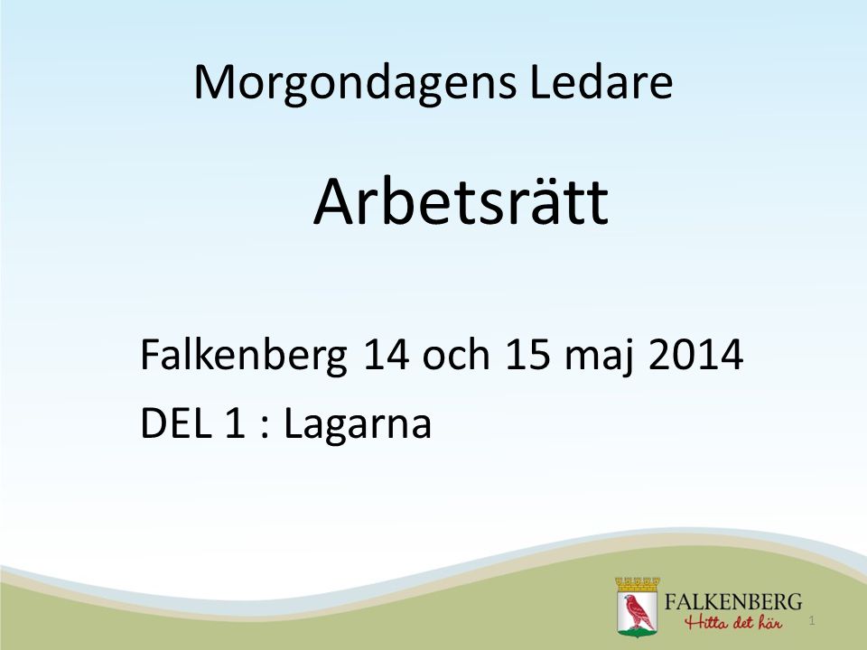 Morgondagens Ledare Falkenberg 14 och 15 maj 2014 DEL 1 : Lagarna