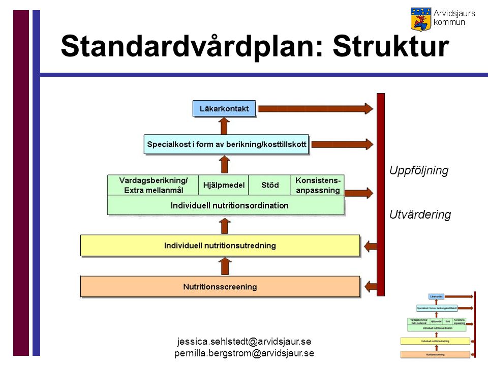 Standardvårdplan: Struktur