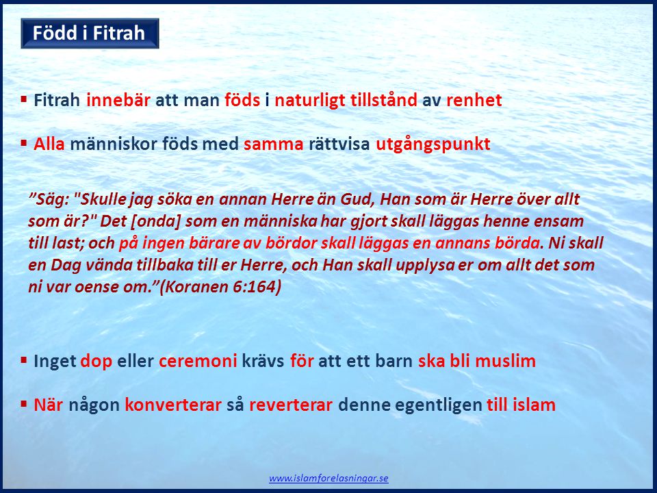 Född i Fitrah Fitrah innebär att man föds i naturligt tillstånd av renhet. Alla människor föds med samma rättvisa utgångspunkt.
