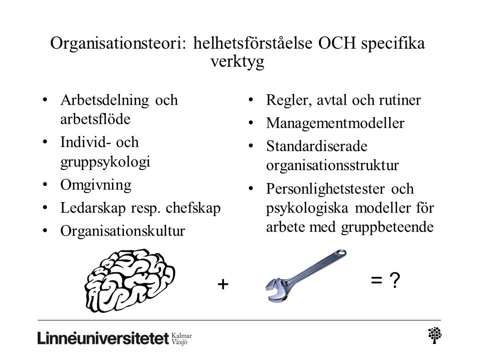 Organisationsteori: helhetsförståelse OCH specifika verktyg