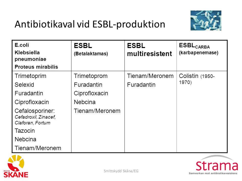 Antibiotikaval vid ESBL-produktion