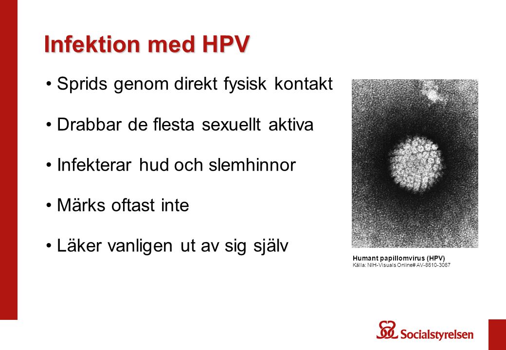 Infektion med HPV Sprids genom direkt fysisk kontakt
