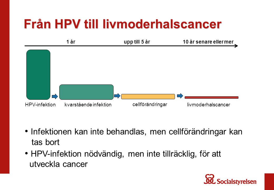 Från HPV till livmoderhalscancer