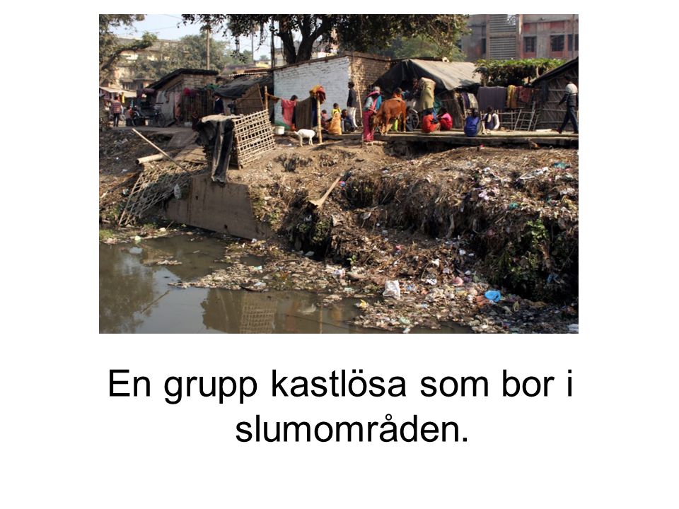 En grupp kastlösa som bor i slumområden.