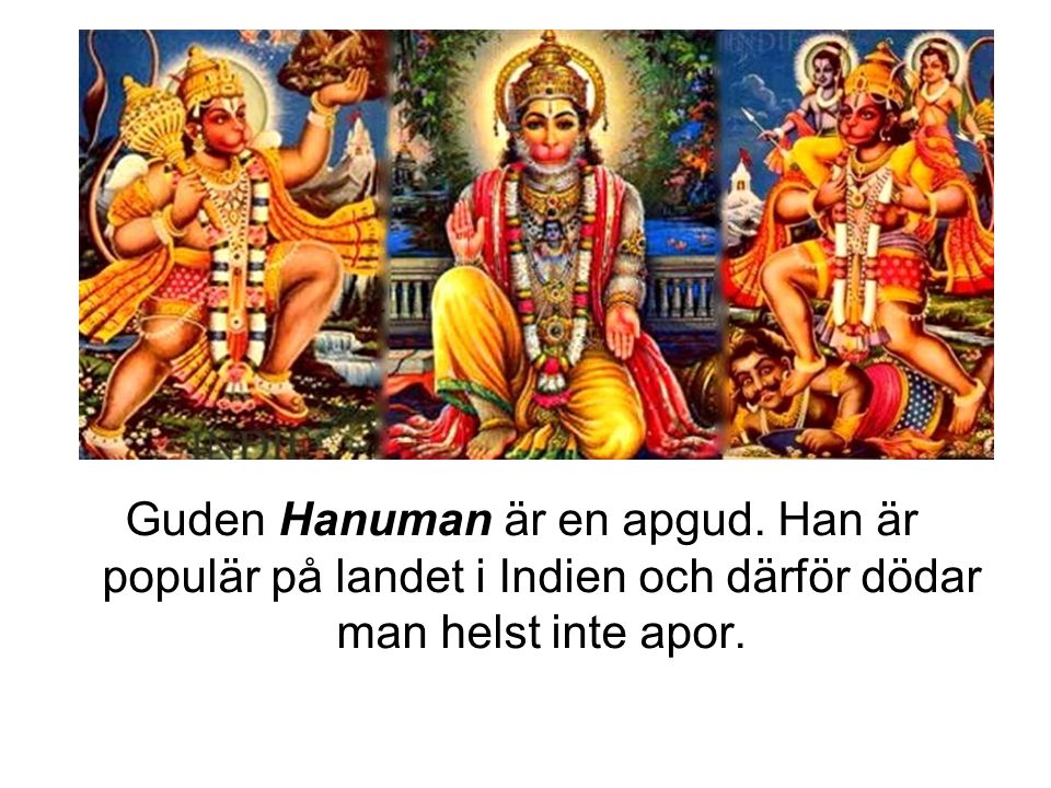 Guden Hanuman är en apgud