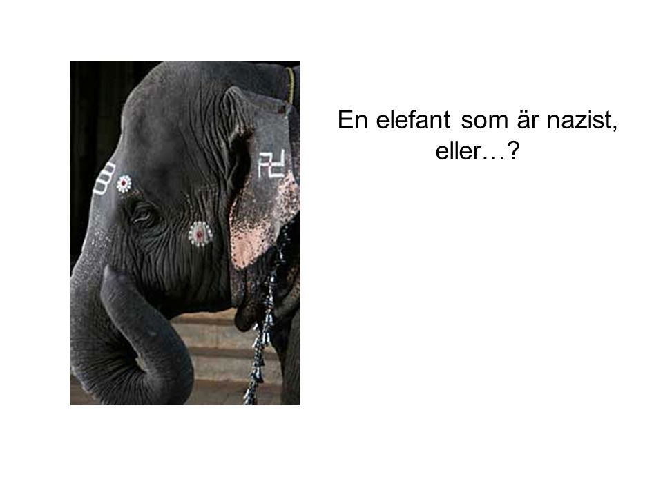 En elefant som är nazist, eller…