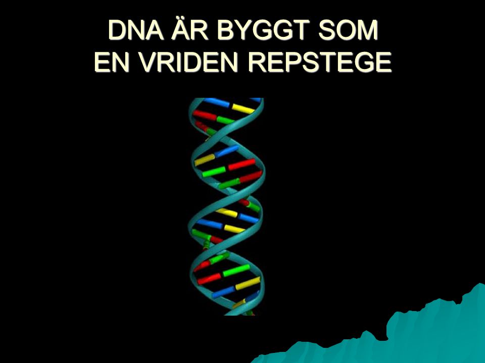 DNA ÄR BYGGT SOM EN VRIDEN REPSTEGE