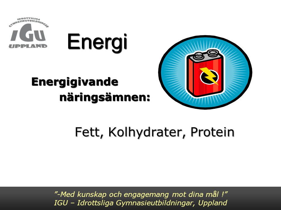 Energigivande näringsämnen: Fett, Kolhydrater, Protein